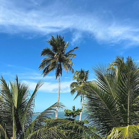 Suites Ventos E Velas Praia ปอร์โต เด เปดราส ภายนอก รูปภาพ